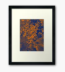 Unique Framed Print