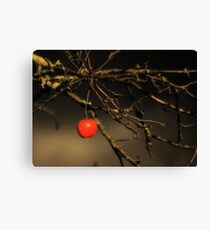 Eden Canvas Print