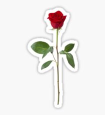 Pegatina Rosa