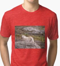 Loup Tri-blend T-Shirt
