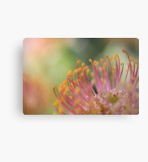 Nodding Pincushion Flower Metal Print