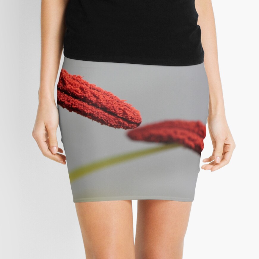 the floating bridge of life Mini Skirt