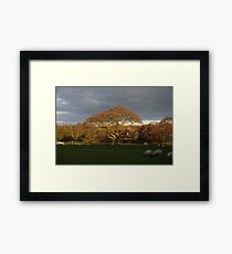 Untitled Framed Print