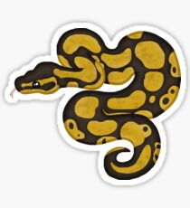 Ball/Royal Python - Normal Morph Sticker