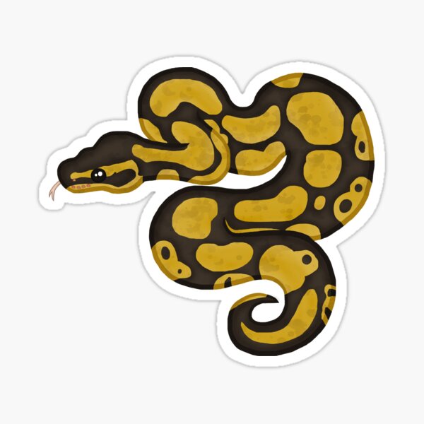 Ball/Royal Python - Normal Morph Sticker