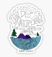 Pegatina Einstein: Naturaleza