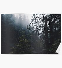 Forest Bridge Poster