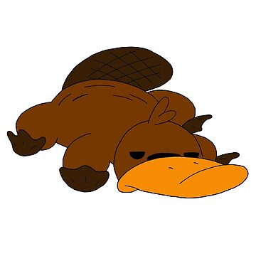 Camp camp discount platypus plush