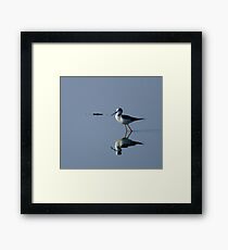 The Bird Framed Print
