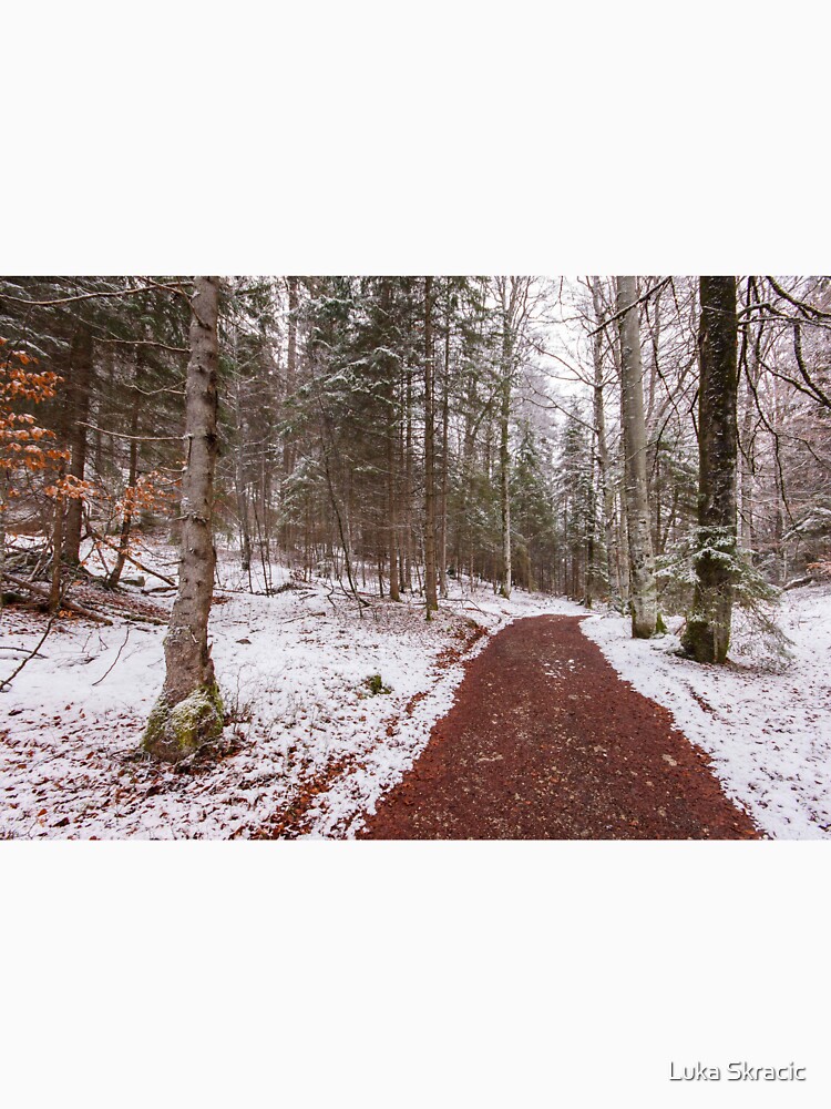 Bavarian Alps Path - 3/4 by LukaSkracic