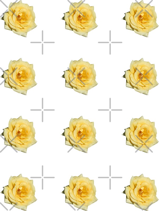 yellow-rose-stickers-by-sthogan-redbubble
