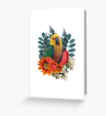 Nature beauty Greeting Card