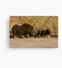 I Said, No Playing In The Road!! Canvas Print