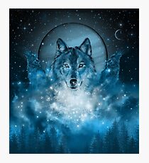 Wolf Photographic Print