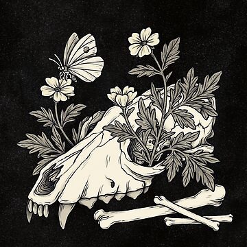 "Wolf Sull Fox Skull Vulture Culture Butterfly Green Witch Gothic