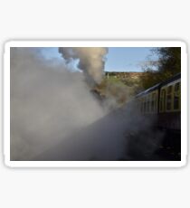 Steam Steam Steam Sticker
