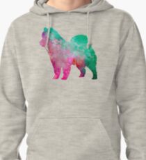 Eurasian in watercolor Pullover Hoodie