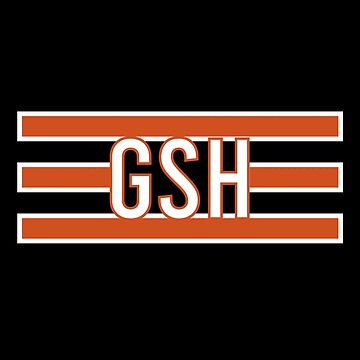 Chicago Bear GSH Essential T-Shirt for Sale by Throk7257