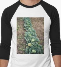 Cabbage Row Men's Baseball ¾ T-Shirt