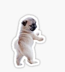 Pug Puppy Sticker