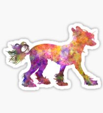 Chinese crested dog 01 in watercolor Sticker