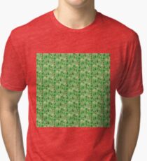 Archeology Tri-blend T-Shirt