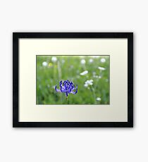 Blue Crown Framed Print