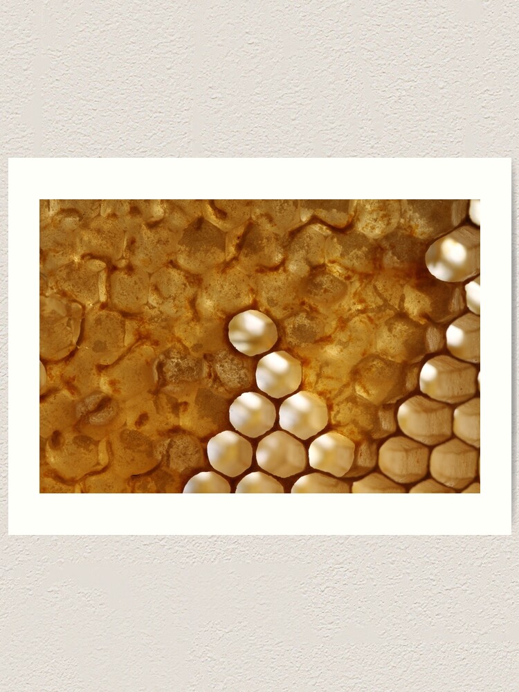 Alternate view of honey or not honey? Art Print