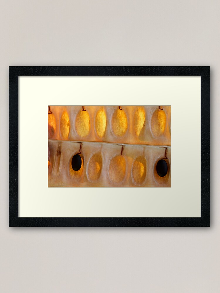 Alternate view of light cells Framed Art Print