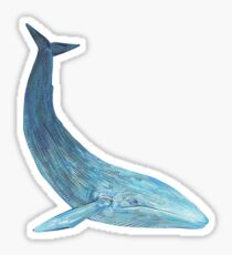 Blue whale painting - 2012 Sticker