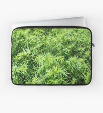 Marijuana Laptop Sleeve