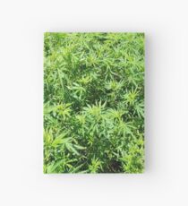 Marijuana Hardcover Journal