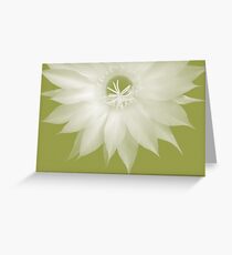 soft touch Greeting Card