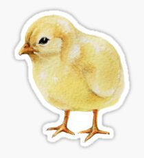 Watercolor Easter Chick, Fluffy Yellow Baby Chicken II Sticker