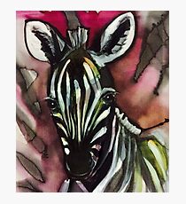 Zebra Baby Rosa Fotodruck