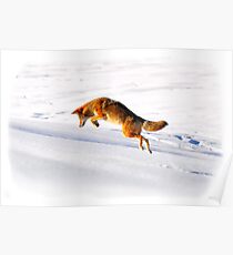 Renard Poster