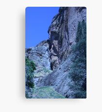 Green and Rock at Pinnacles National Monument Canvas Print