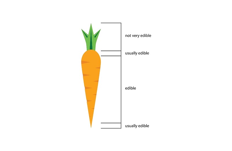 "Carrot Edibility Diagram" Studio Pouches by DasTechniker ...