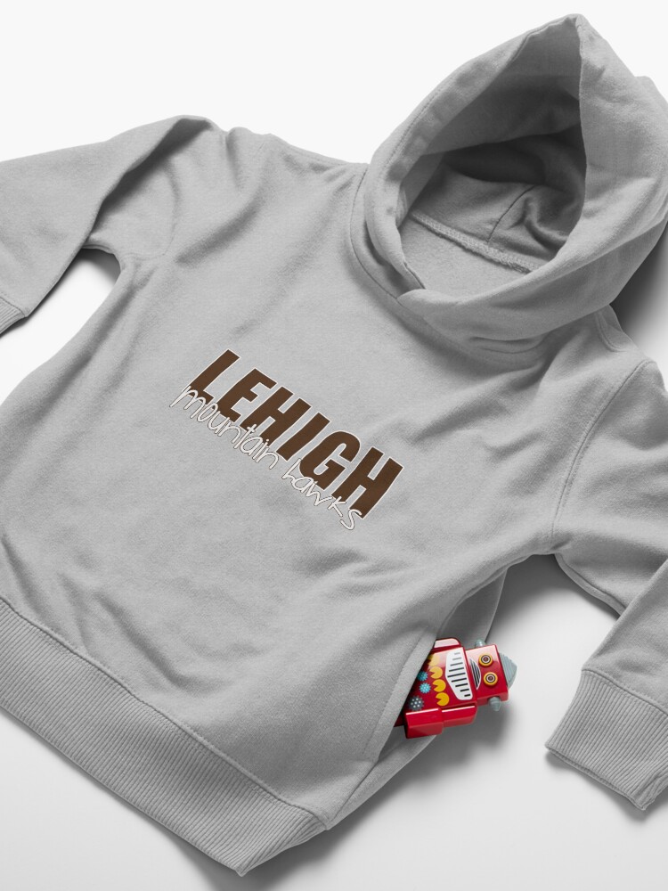 Alternate view of Lehigh University Toddler Pullover Hoodie
