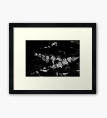 Spine Framed Print