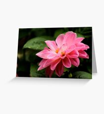 May Day Greeting Card