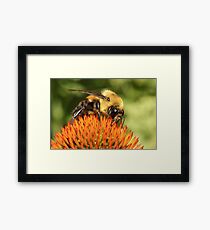 Big Eyes 2 Framed Print