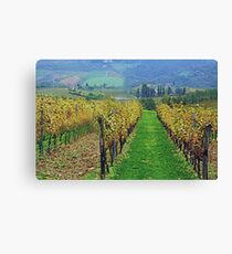 Chianti Canvas Print