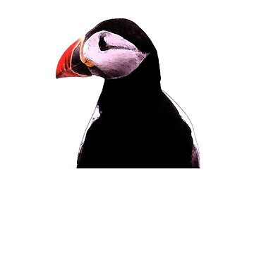 Artwork thumbnail, Puffin by orcadia