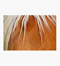 Fur Photographic Print