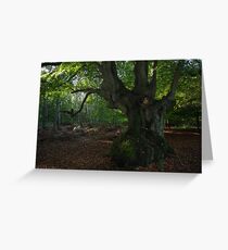 Trees Greeting Card