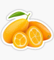 Kumquat fruits Sticker