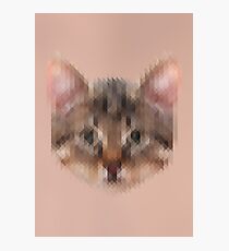 Pixelated Cat Photographic Print