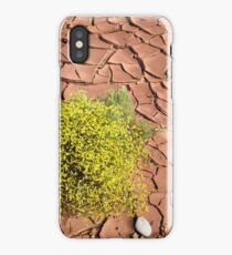Survivor in the Desert iPhone Case