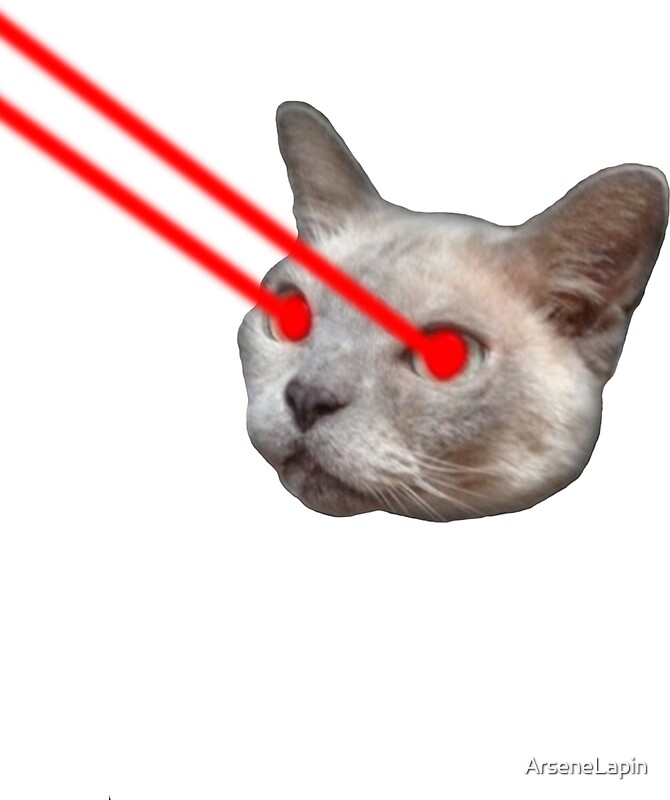 "Laser Eyes Cat" Stickers by ArseneLapin Redbubble
